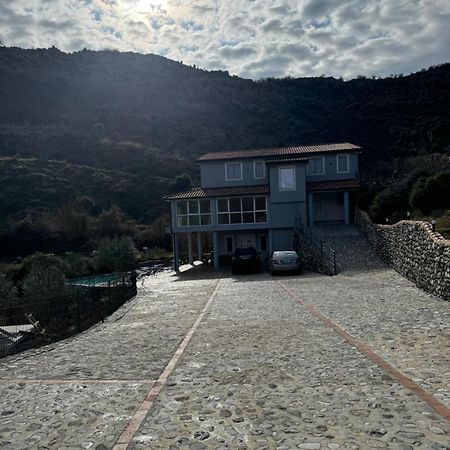 Qyteza Guest House & Camping Shkodër Екстериор снимка